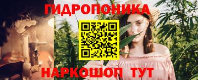 хмурый Свободный