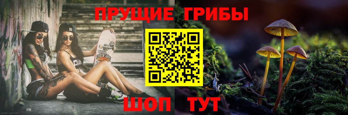 Норильск  Галлюциногенные грибы Magic Shrooms  Псилоцибиновые грибы мухоморы  Вход с VPN 